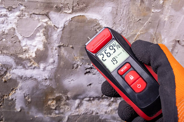Best HVAC Mold Remediation in Allyn, WA