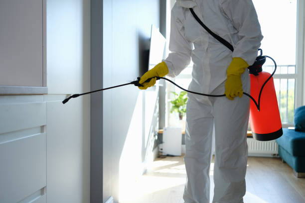 Best Attic Mold Remediation in Allyn, WA